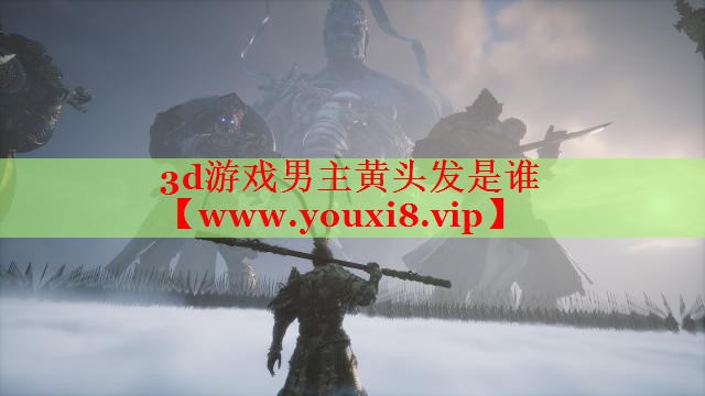 3d游戏男主黄头发是谁