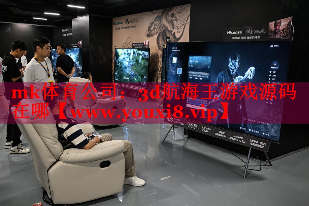 mk体育公司：3d航海王游戏源码在哪