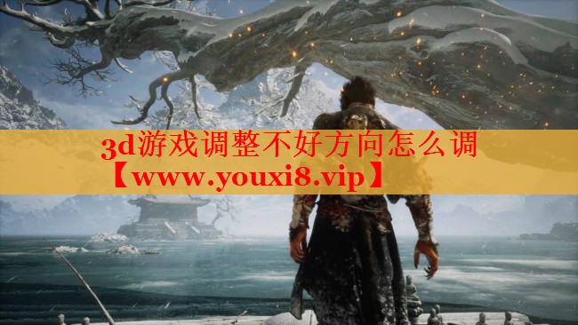 3d游戏调整不好方向怎么调