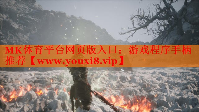 MK体育平台网页版入口：游戏程序手柄推荐