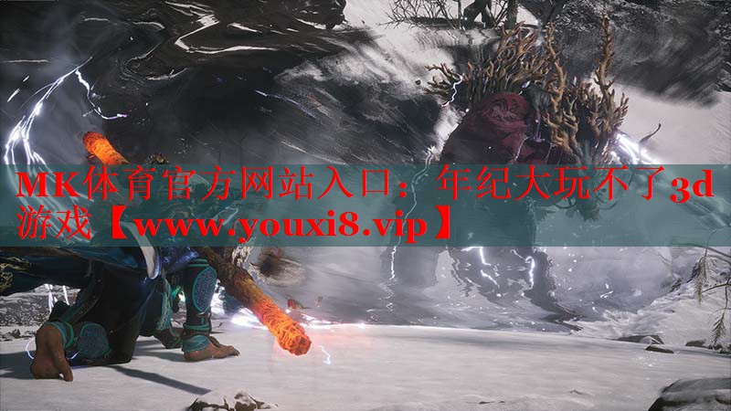 MK体育官方网站入口：年纪大玩不了3d游戏