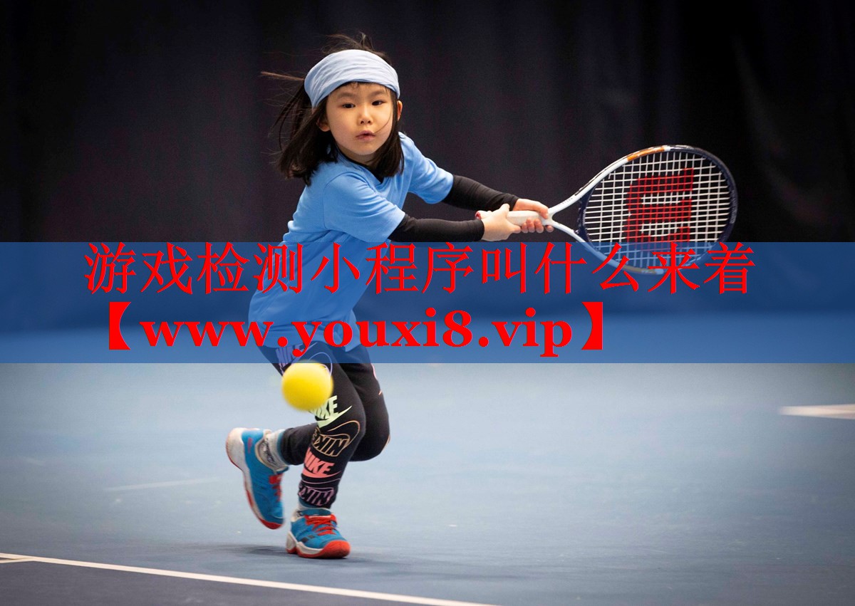 游戏检测小程序叫什么来着