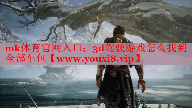 mk体育官网入口：3d驾驶游戏怎么找到全部车包