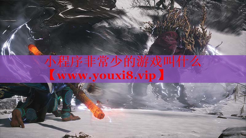 小程序非常少的游戏叫什么