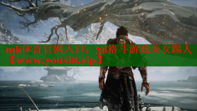 <strong>mk体育官网入口：3d格斗游戏美</strong>