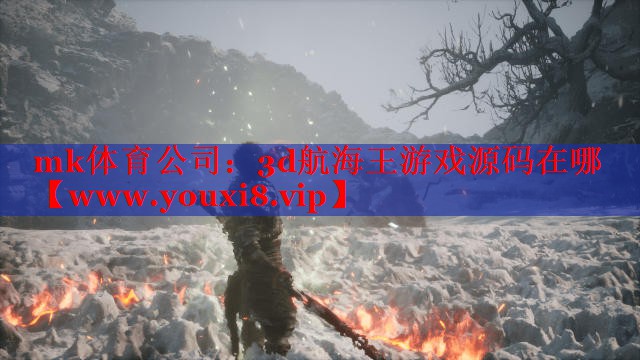 3d航海王游戏源码在哪