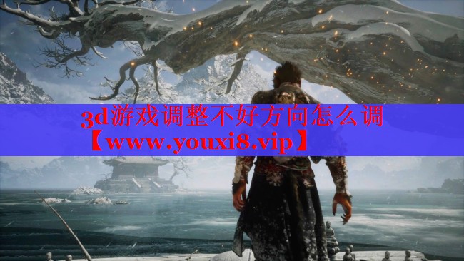 3d游戏调整不好方向怎么调