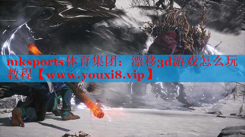 漂移3d游戏怎么玩教程
