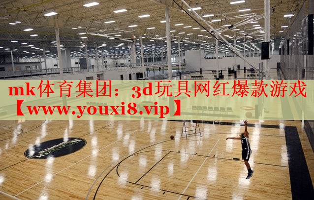 3d玩具网红爆款游戏
