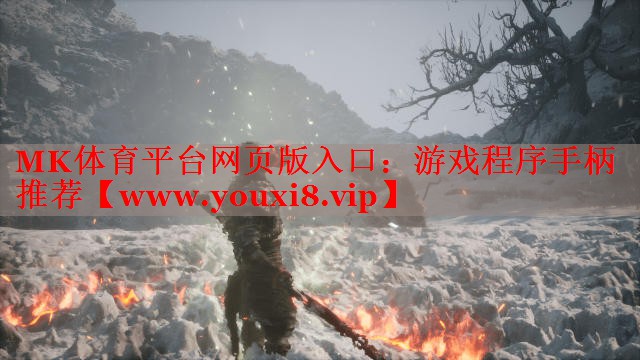 游戏程序手柄推荐