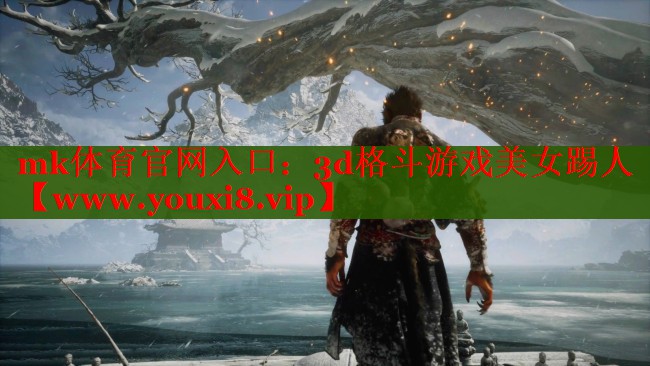 3d格斗游戏美女踢人