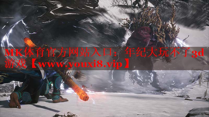 年纪大玩不了3d游戏