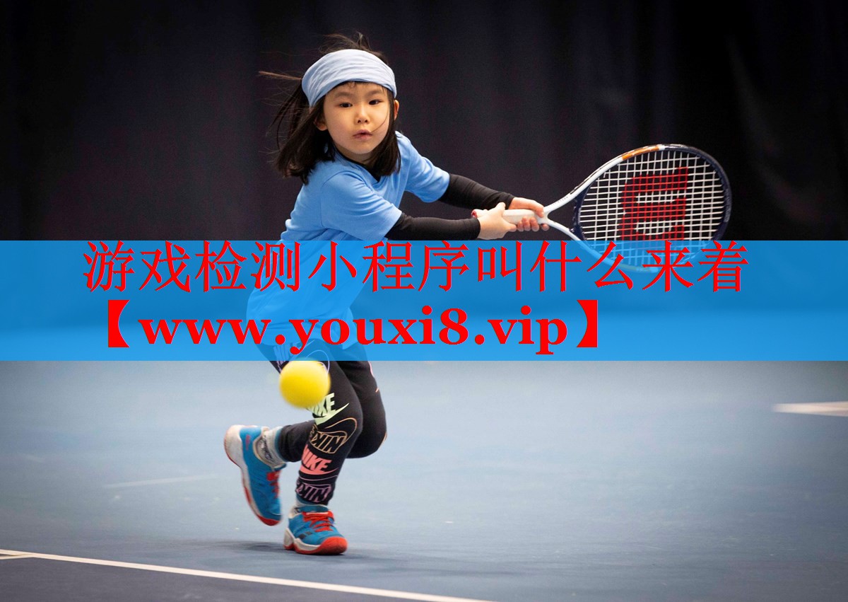 游戏检测小程序叫什么来着