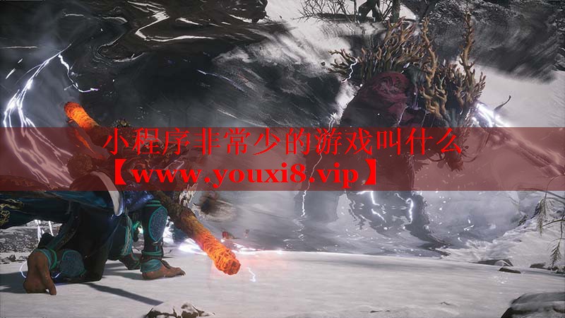 小程序非常少的游戏叫什么